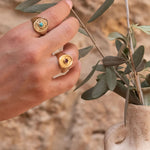 Hand wearing Divine Eye Ring while holding olive branch in rustic clay vase